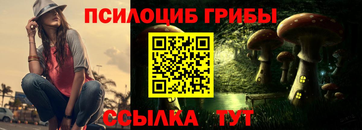 Псилоцибиновые грибы прущие грибы  Вход с VPN  Тихорецк 